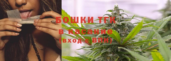 индика Дмитров