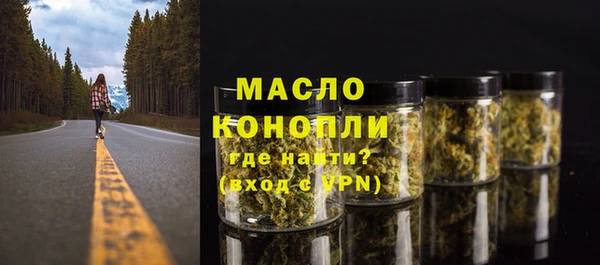 индика Дмитров
