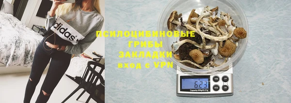 индика Дмитров
