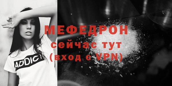 индика Дмитров