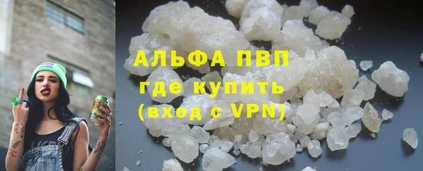 индика Дмитров