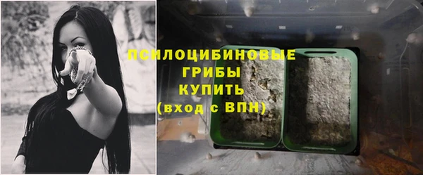 mdma Дмитровск