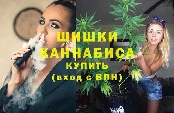 apvp Дмитриев