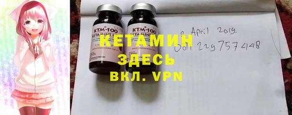 индика Дмитров