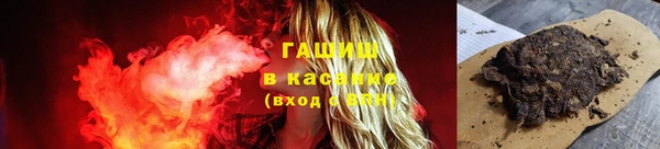 индика Дмитров
