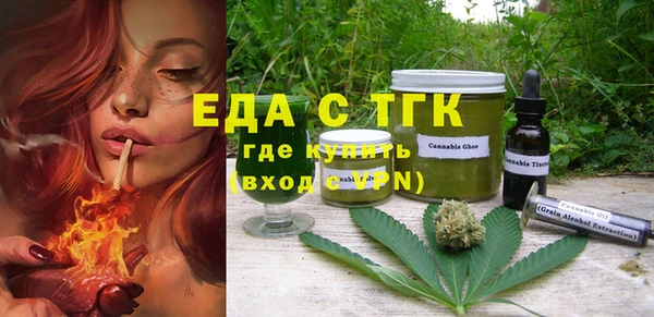 индика Дмитров