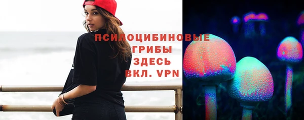 мдма Ладушкин