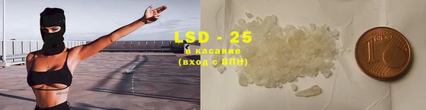 индика Дмитров