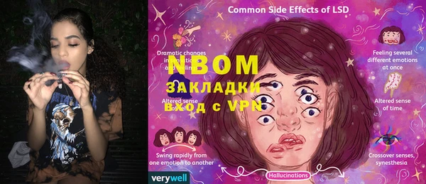 индика Дмитров