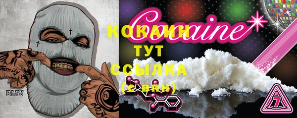 apvp Дмитриев