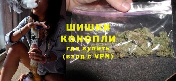 индика Дмитров
