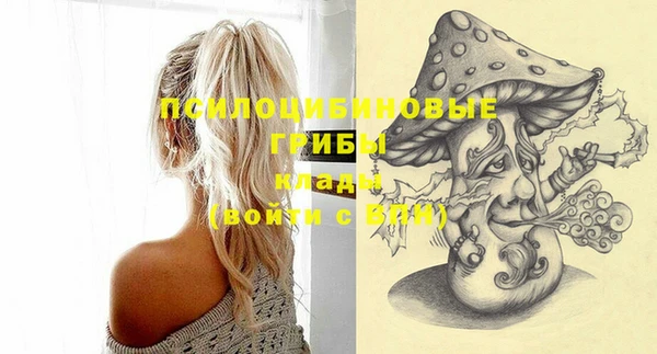 индика Дмитров