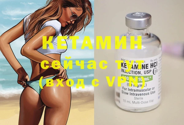 apvp Дмитриев