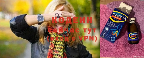 индика Дмитров